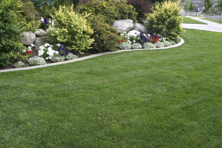 Gartendesign Kemo Tamm